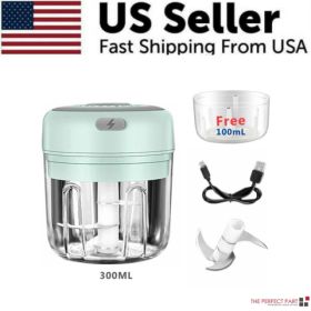 Electric 300ML Garlic Press Chopper Chili Onion Fruits Meat Mincer Blender Mixer (Option: Green)